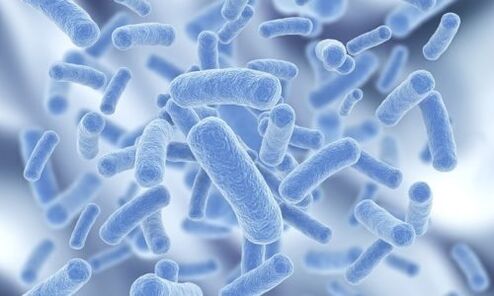 Bakterien im menschlichen Körper